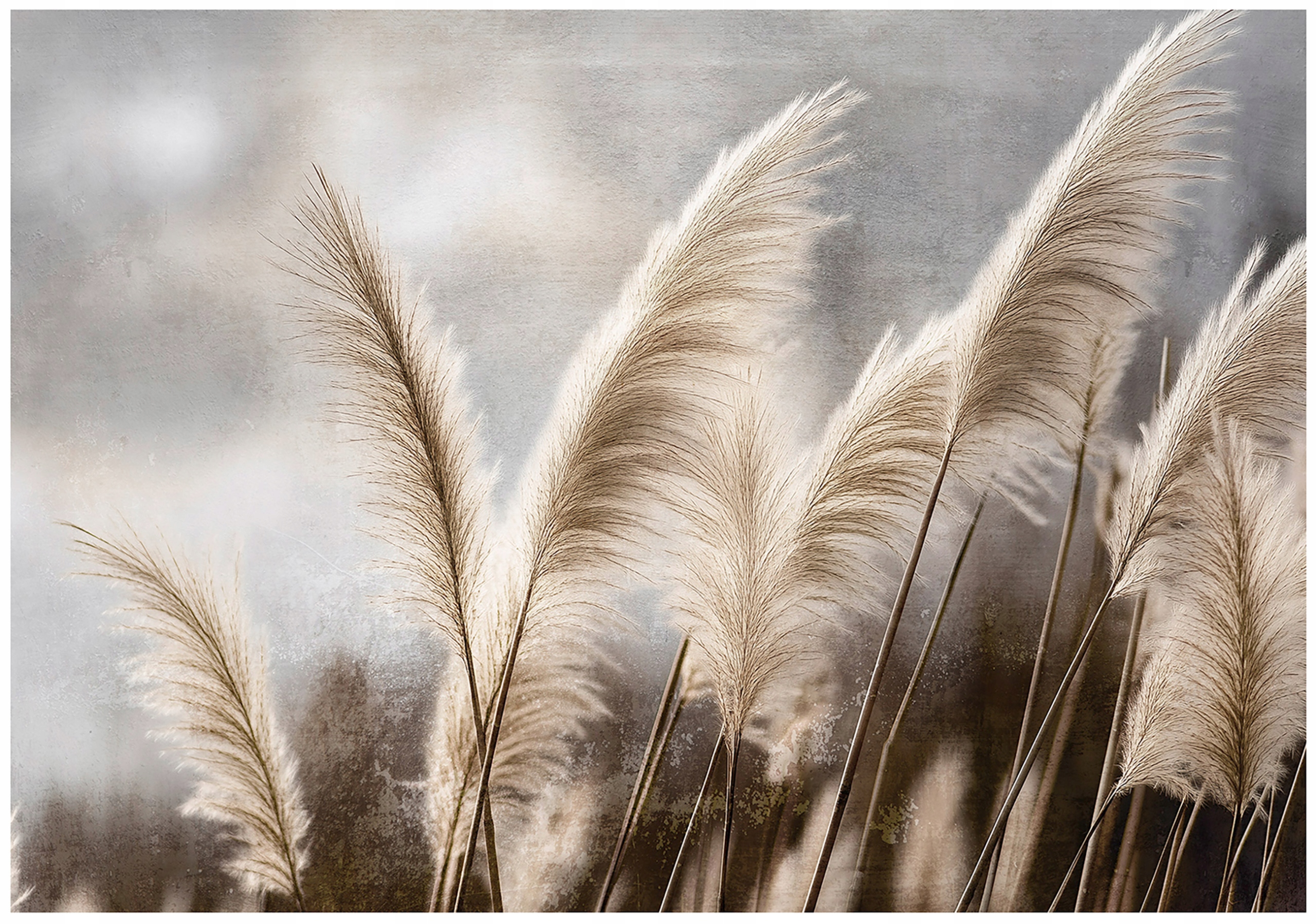 Vinylová Tapeta Na Flizeline Pampová Tráva Natura Béžová Pampas 416x254