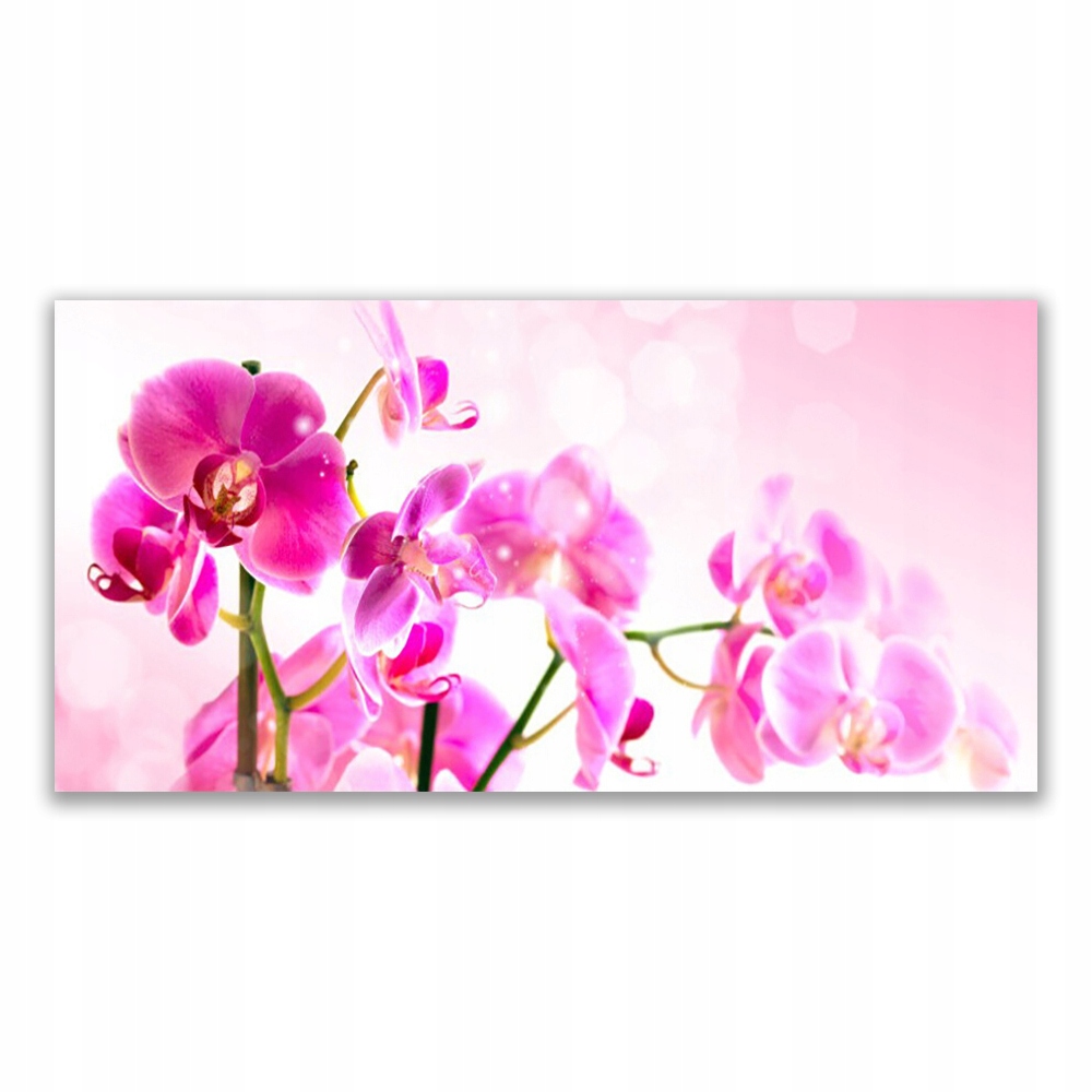 

Obraz akryl wiszący 120x60 Kwiaty Roślina Natura