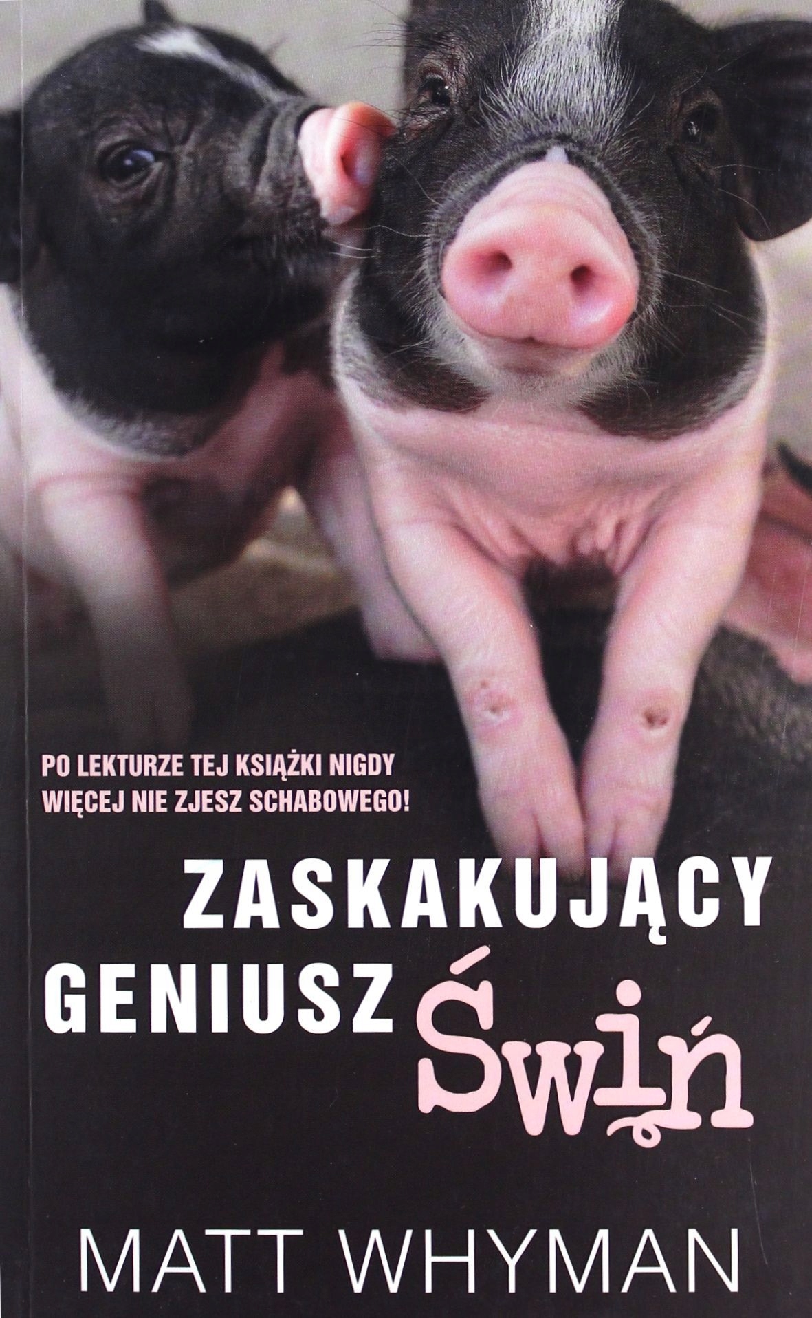 ZASKAKUJĄCY GENIUSZ ŚWIŃ - Matt Whyman (KSIĄŻKA)