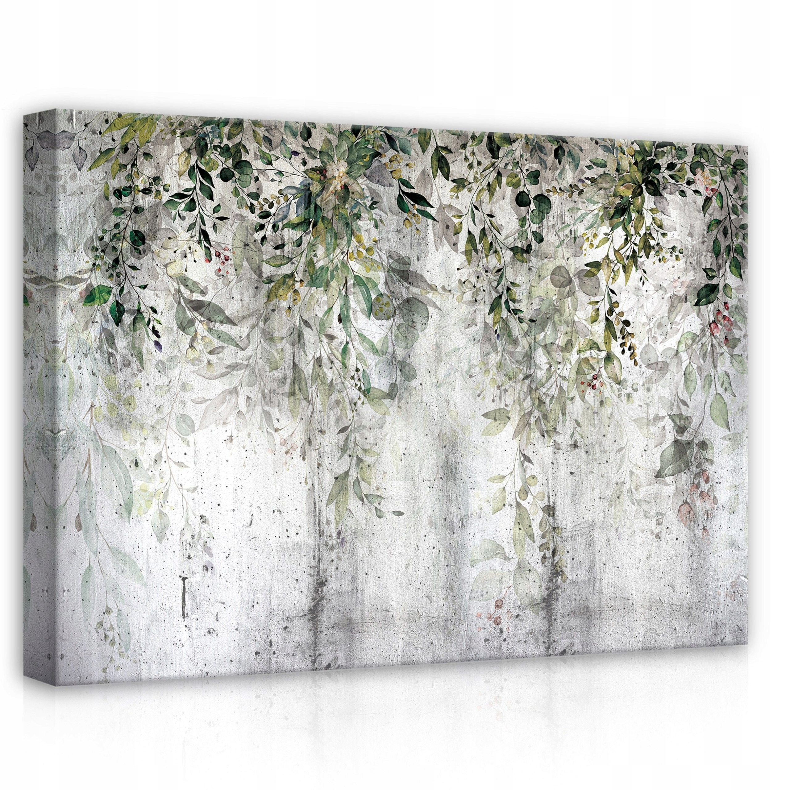 Obraz 70x50 Botanika listy zeleň příroda beton textura minimalismus klid