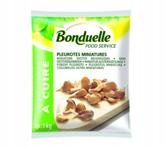 Levně Bonduelle Hlíva mini 1 kg