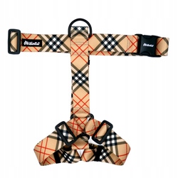 Levně Masivní postroj Guard pro velkého psa Dogberry Psiakrew páska 4 cm XL