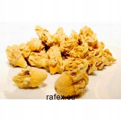 Levně Opuncie Květ tety 1 kg Rafex