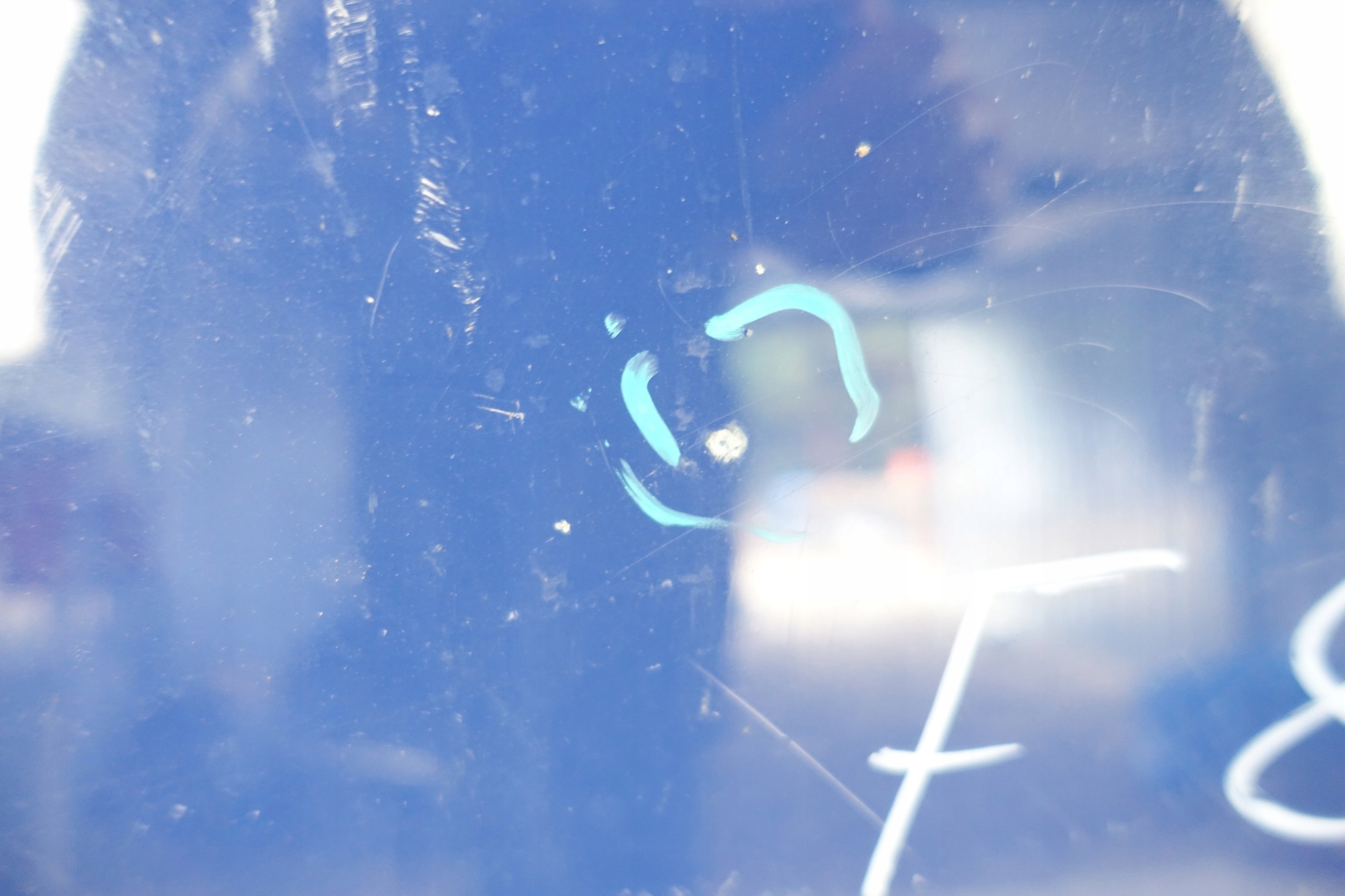 VW T5 7E 7E0 09-15 LIFT bonnet