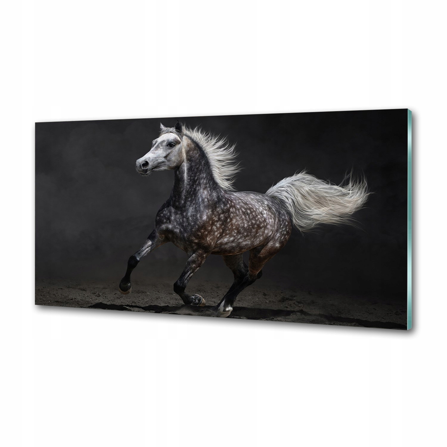 Panel do kuchyně Šedý arabský kůň 120x60 cm Lepidlo