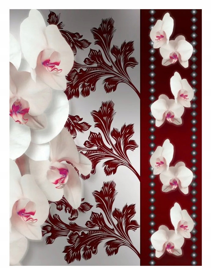 Fototapeta Bílé orchideje Elegance a klid na stěnách 206x275 lepidlo
