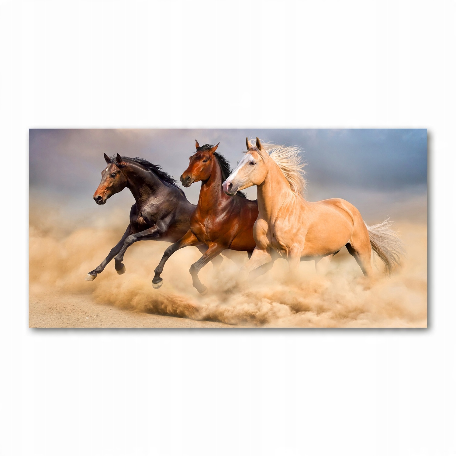 

Foto obraz akryl zdjęcie Konie w galopie 120X60 cm