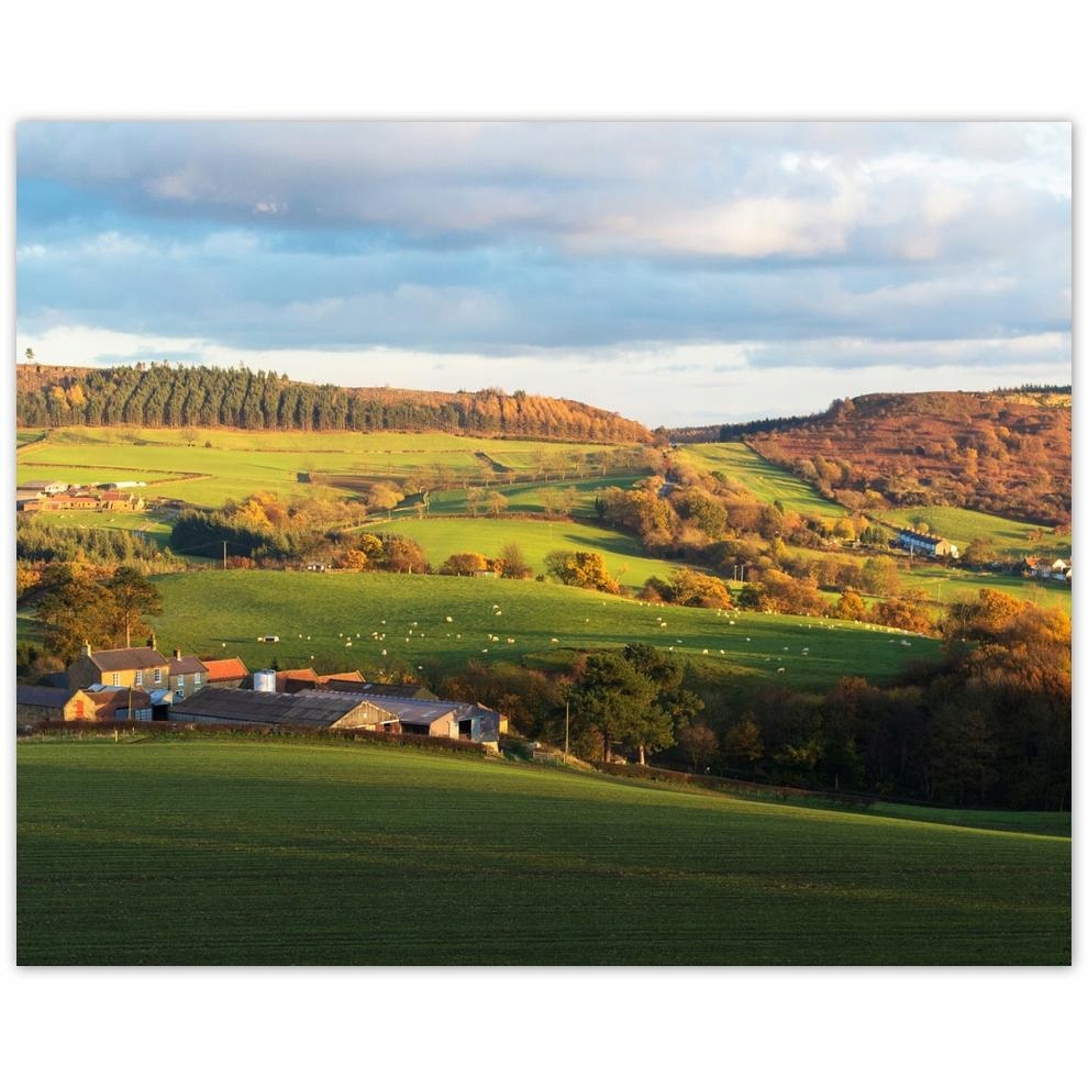 

Plakat 50x40 Górska dolina