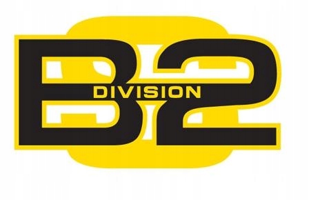 DIVISIONB2 KETTLEBELL Z REGULOWANYM OBCIĄŻENIEM Rodzaj żeliwne