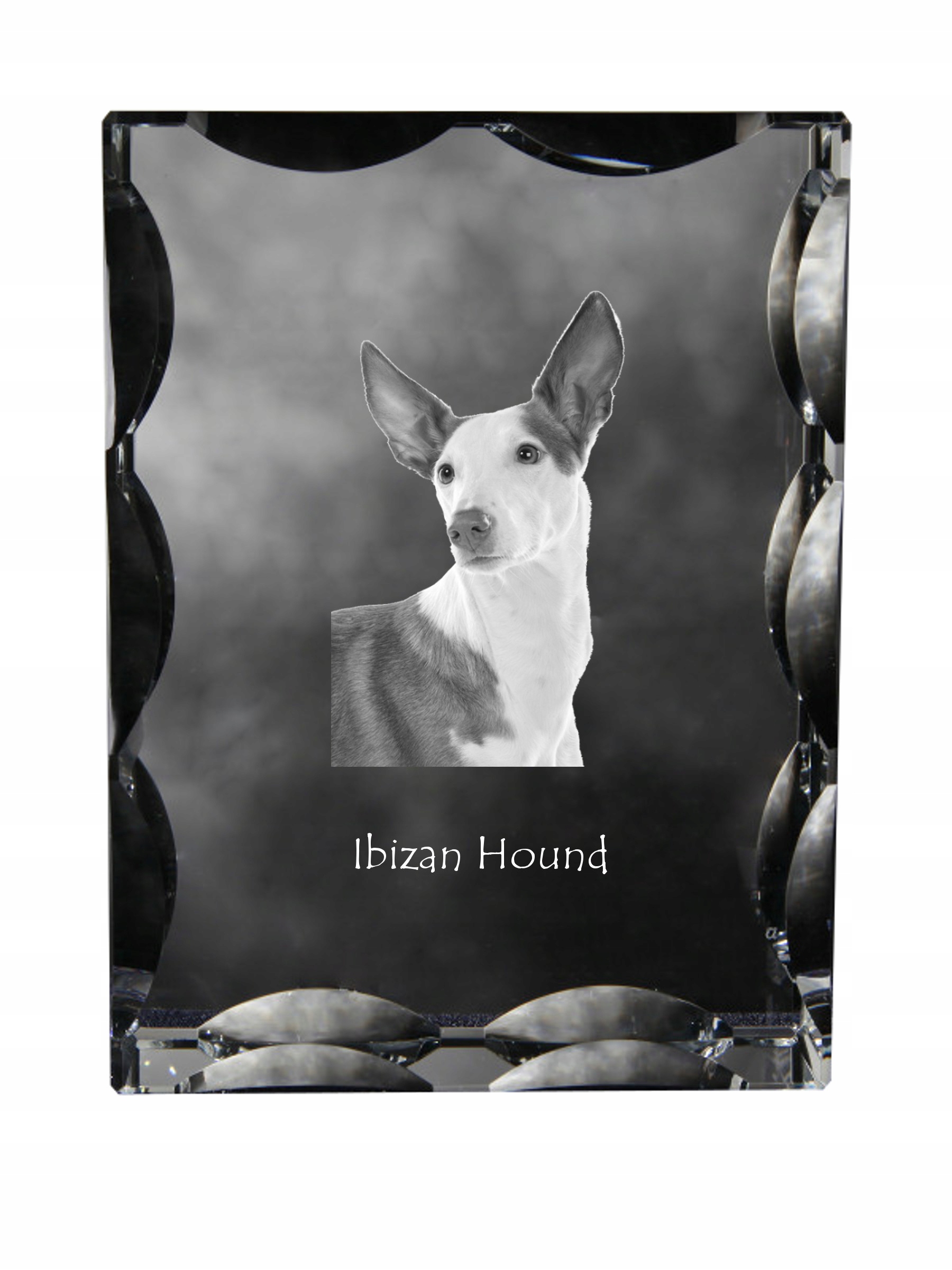 Podenco z Ibizy fotografia psa v ozdobnom kryštáli, suvenír, dekorácia domu