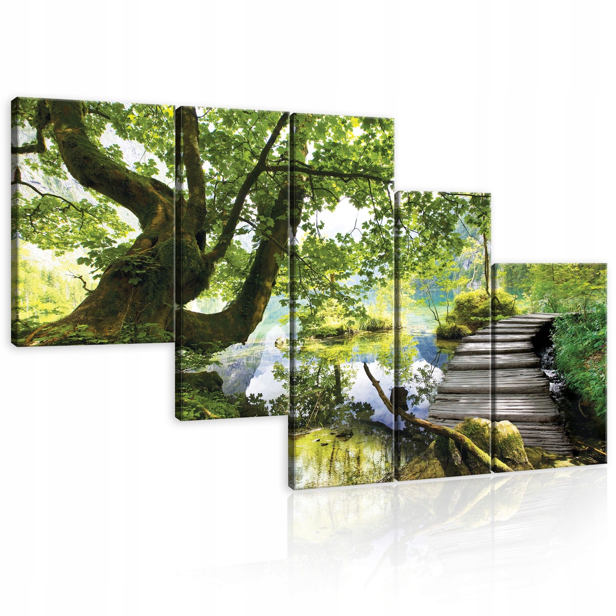 Obraz 170x100 Příroda les jezero řeka klid léto krajina