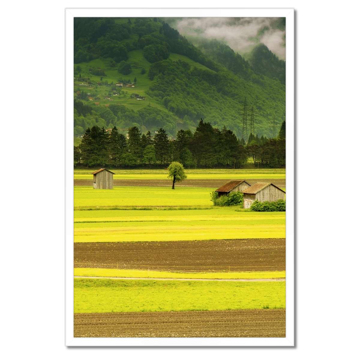 Plakáty v rámu 40x60 Zelené lány