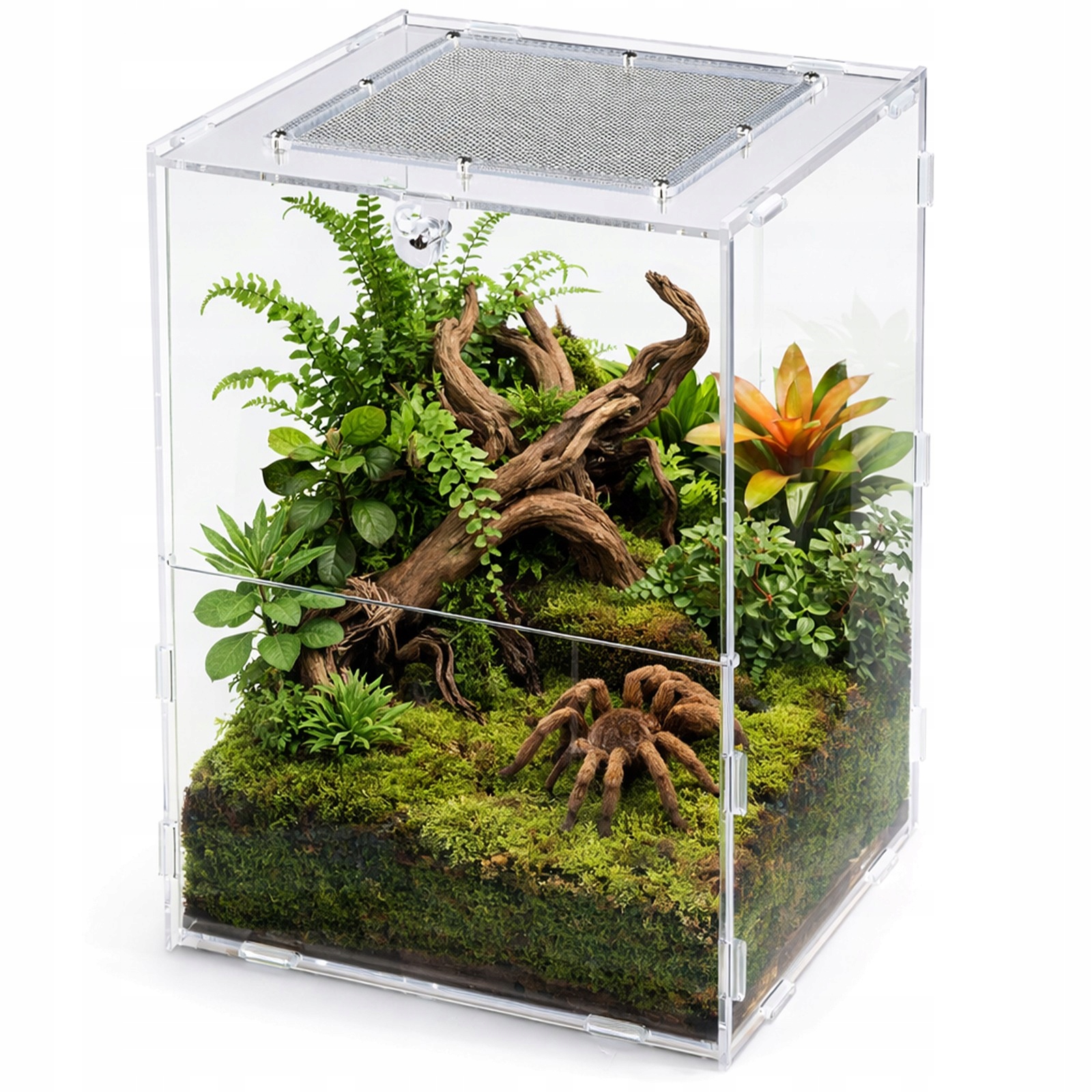 Wysokie Terrarium Akrylowe Przezroczyste Lekkie Z Drzwiczkami Dla Pająków