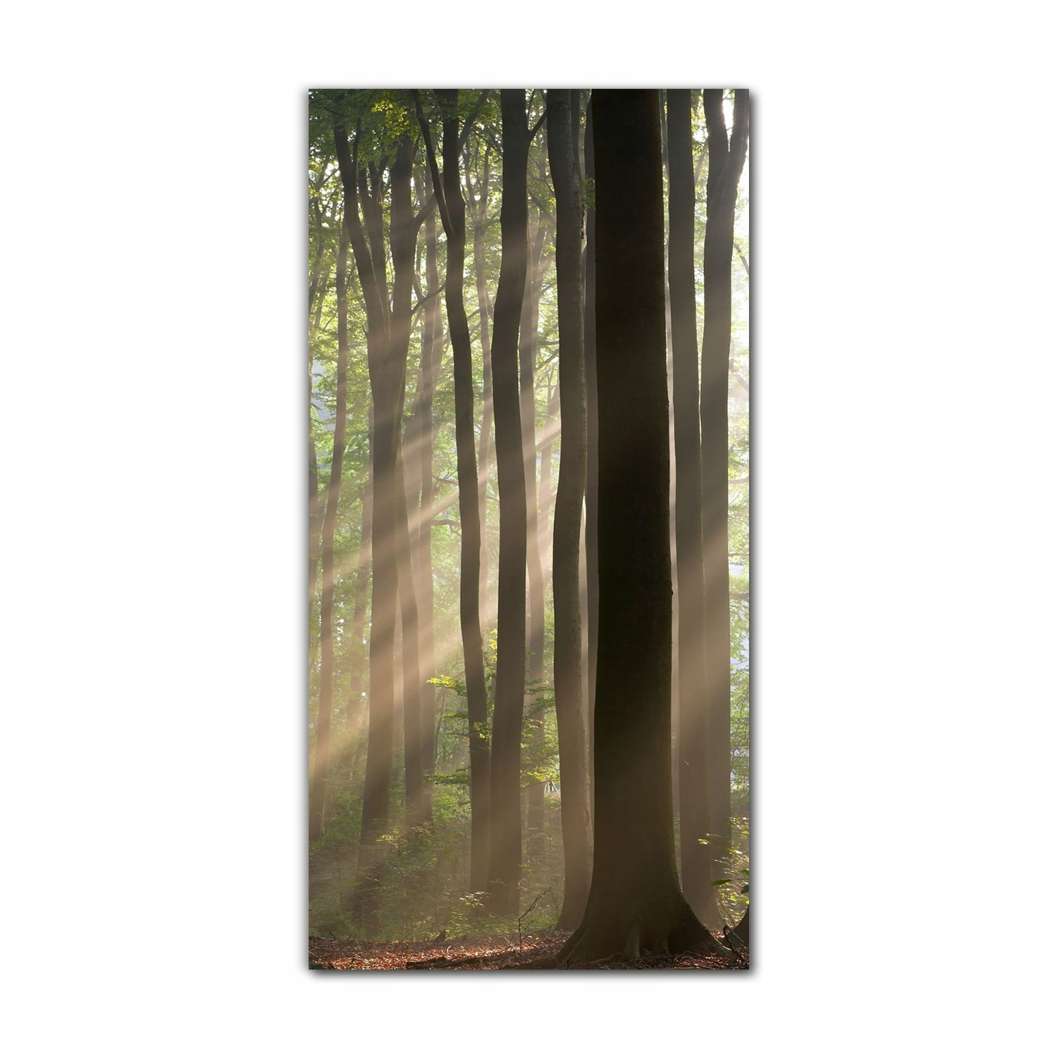 

Obraz szklany grafika do salonu 70x140 Mglisty las