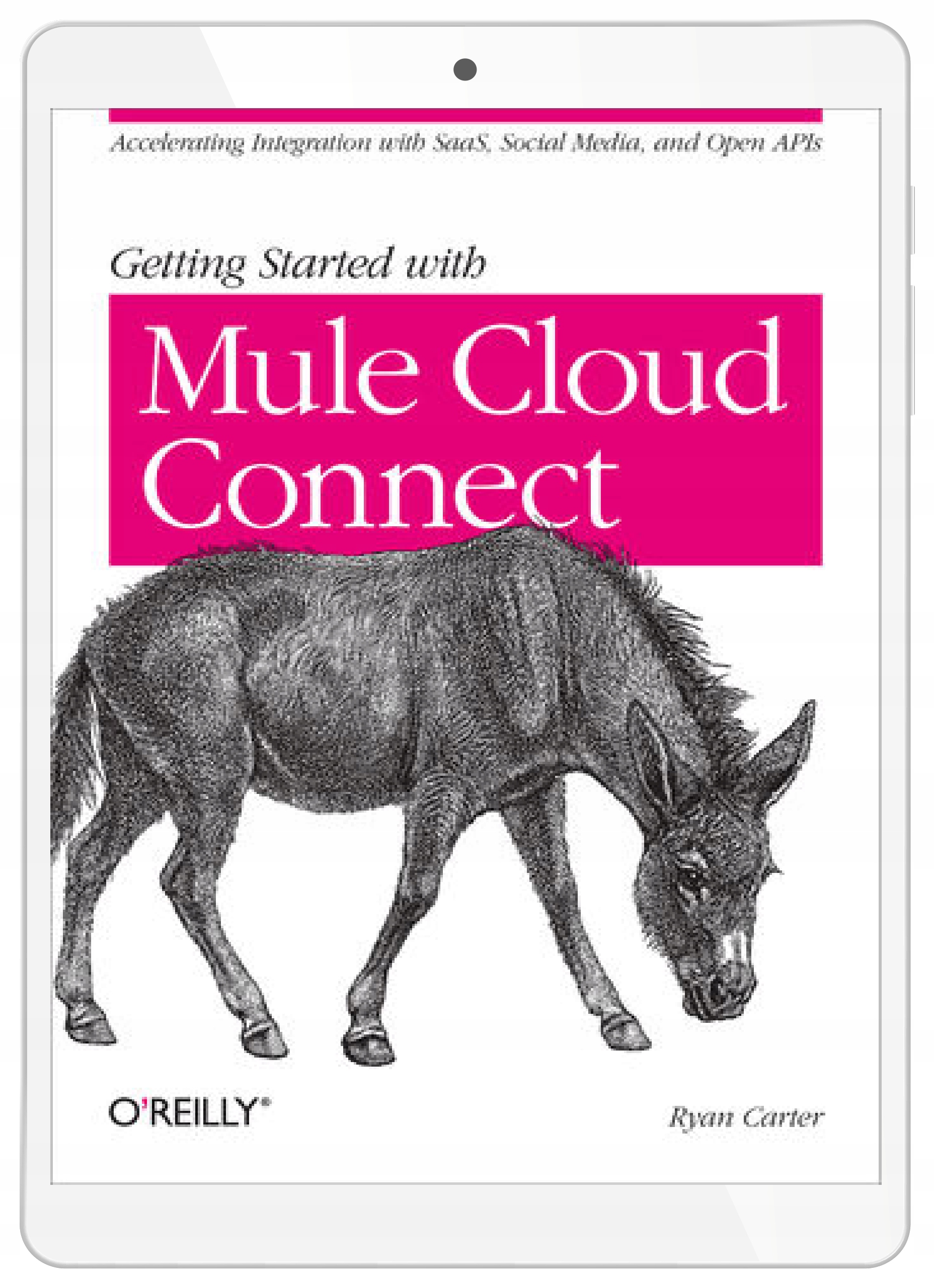 Getting Started with Mule Cloud Connect
