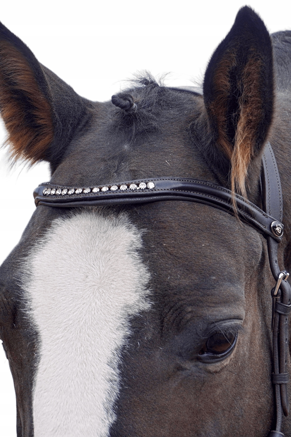 Ogłowie do hackamore Balotade Quick Brązowy Full Rozmiar 3 (full)