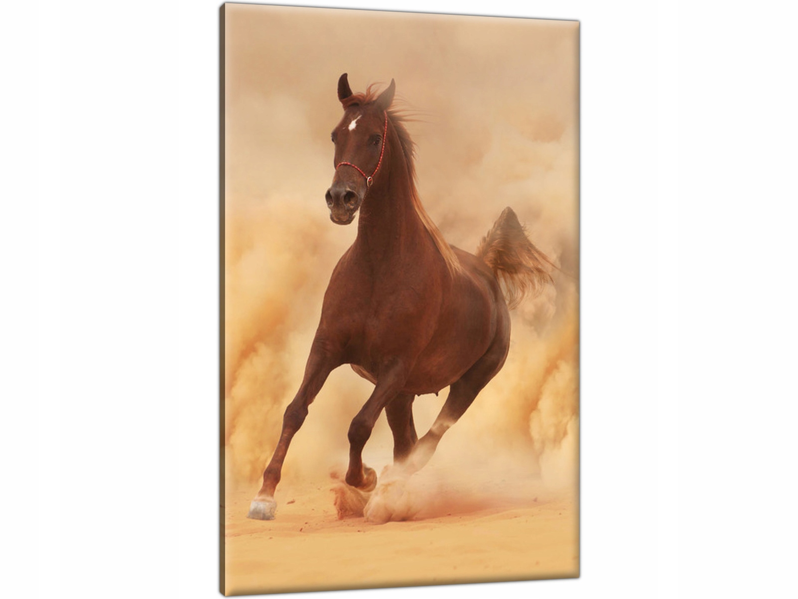 

Koń Konie Ogier 60x90 cm Obraz Tryptyk Obrazów