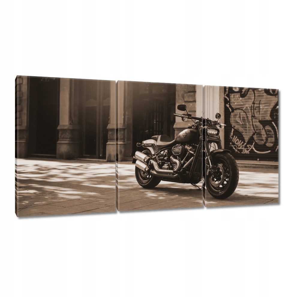

Obrazy 120x60 Harley Davidson Motocykl