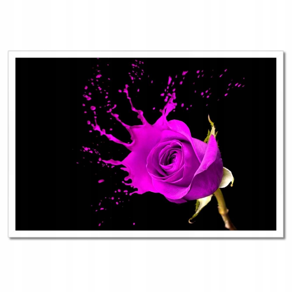 Plakáty v rámu 60x40 Fialová růže s efektem
