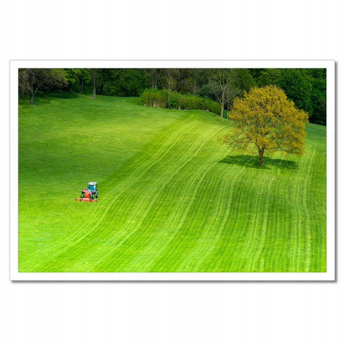 Plakáty v rámu 60x40 Golfové hřiště