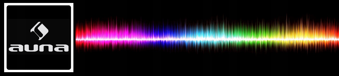 Radio stereo Auna Belle Epoque 1906 DAB w stylu retro Bluetooth CD MP3 USB Funkcje RDS