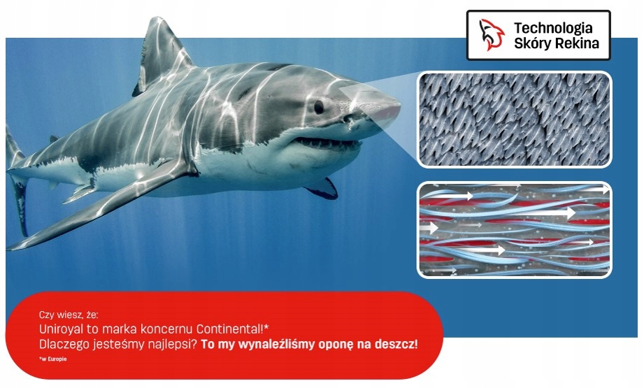 2x UNIROYAL 235/55R18 100H RainSport 5 FR letnie Opór toczenia C