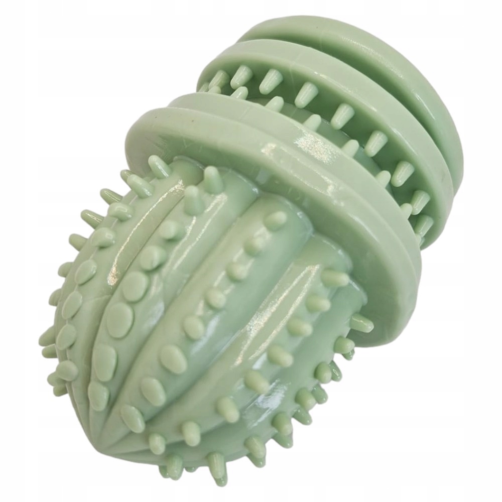 Hračka Gumové kousátko pro psa Kaktus