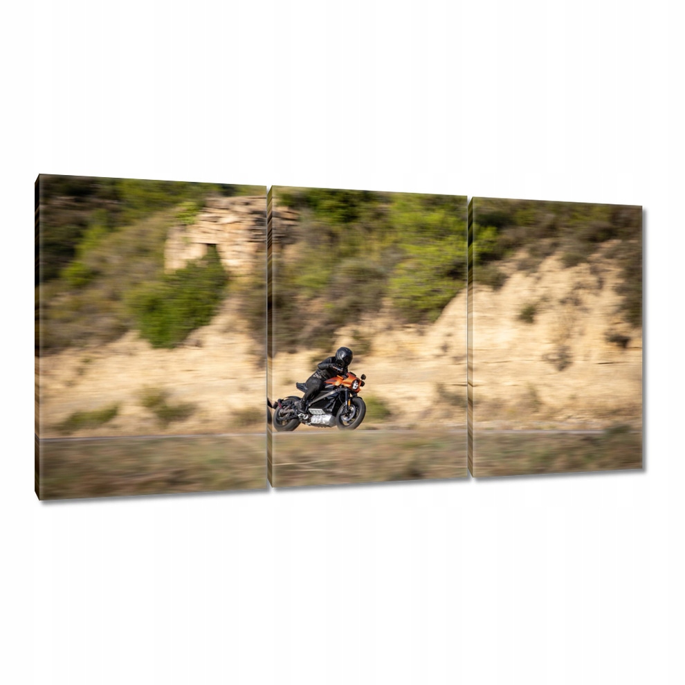 

Obrazy 120x60 Harley Davidson Motocykl
