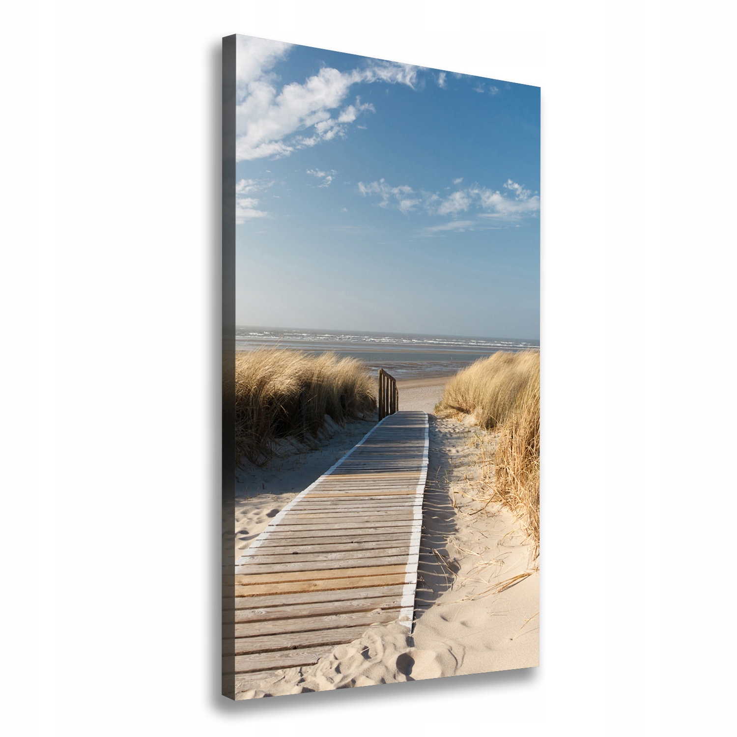 

Foto obraz na płótnie Ścieżka na plażę 50x100 cm