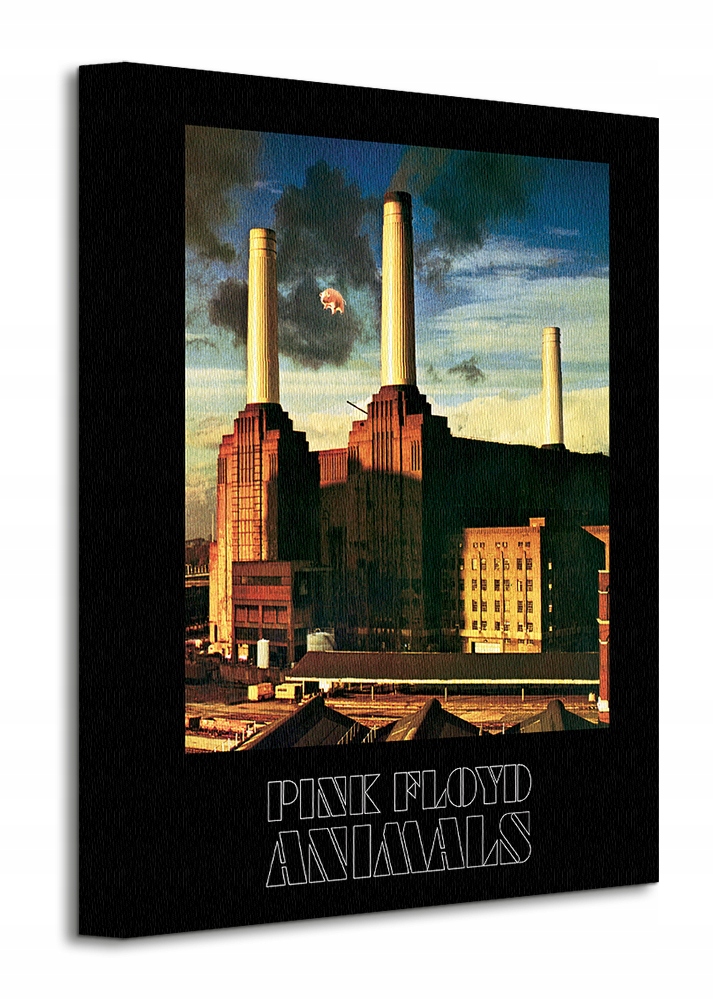 

Pink Floyd Animals Obraz na płótnie 30x40 cm