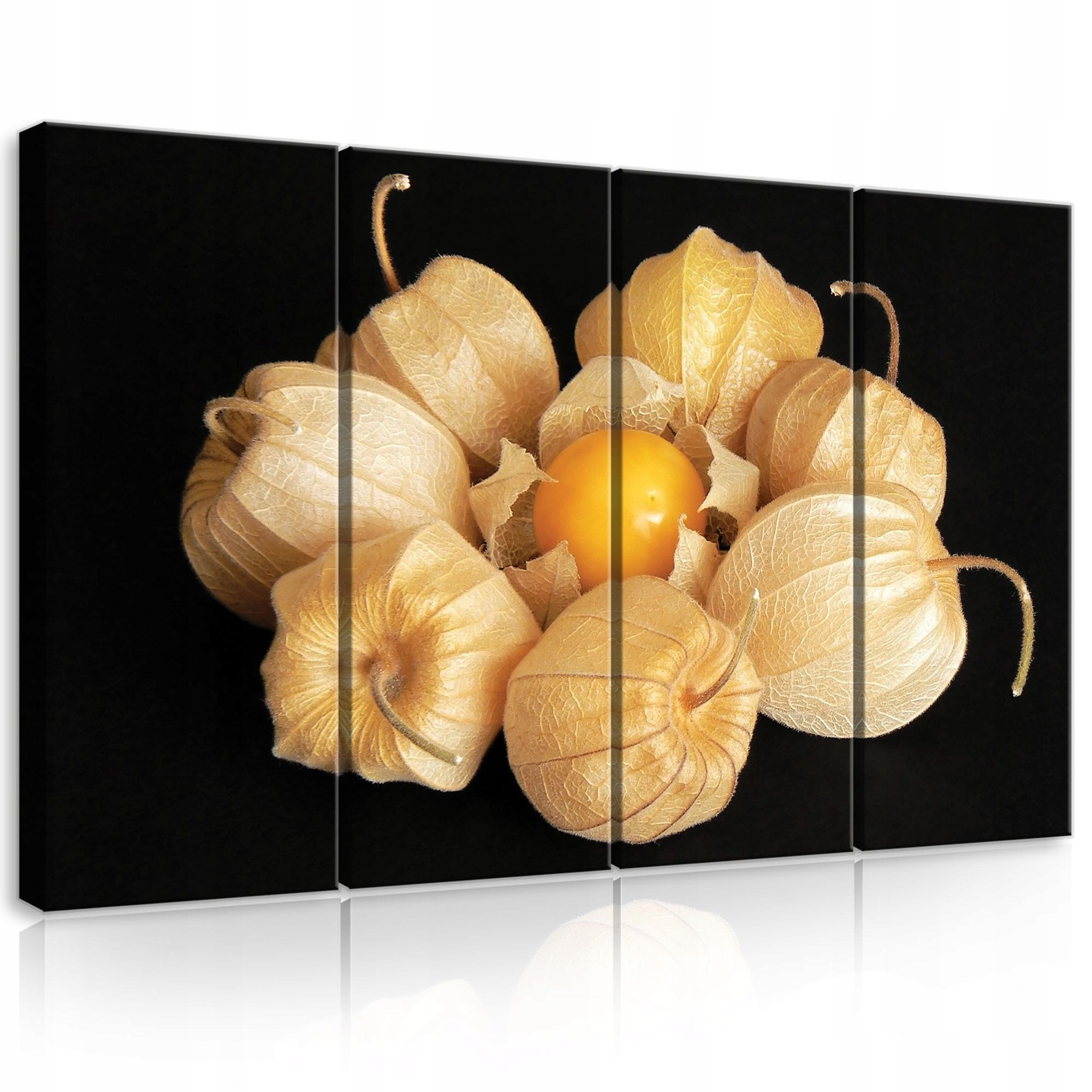 Obraz 120x80 Fizalis bobule lampióny zátišie príroda makro príroda jeseň