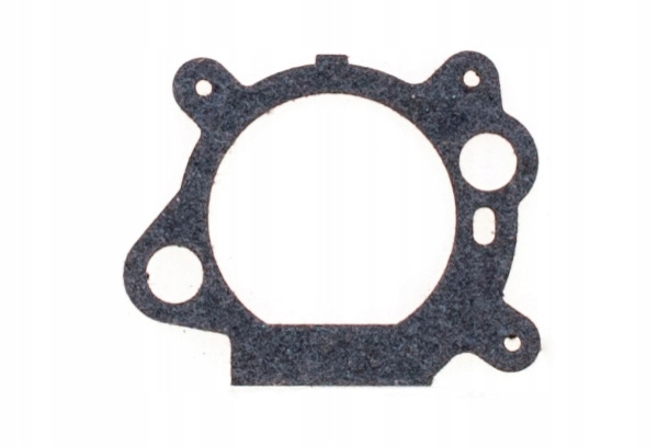 USZCZELKA GAŹNIKA FILTRA BRIGGS B&S QUANTUM