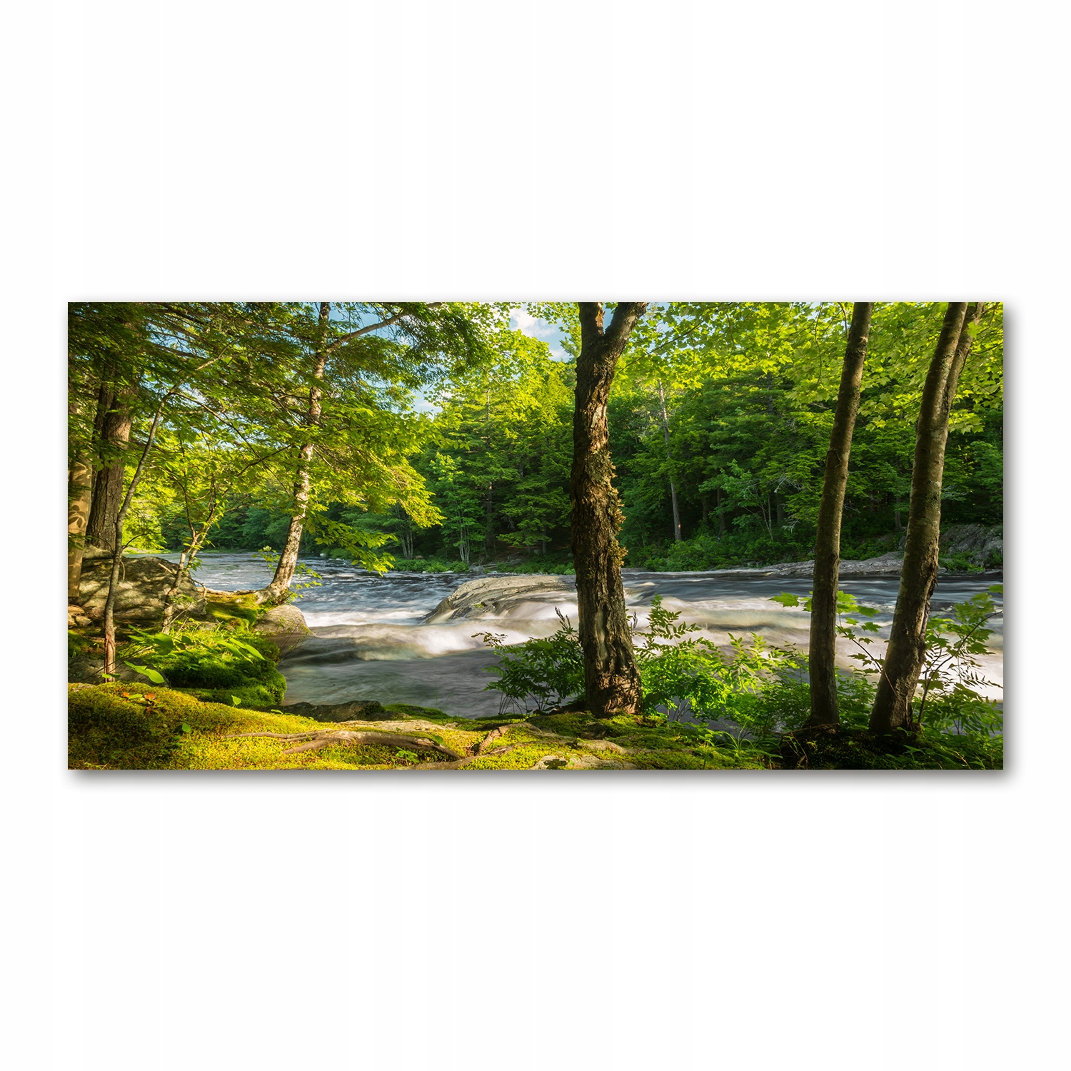 

Foto obraz akryl zdjęcie Rzeka w lesie 120X60 cm