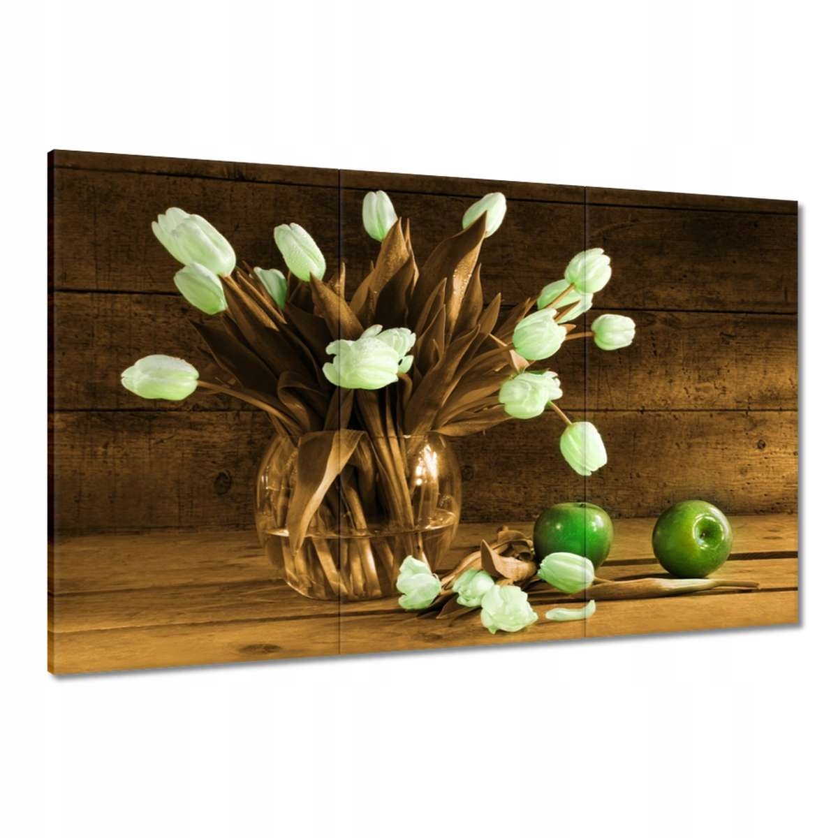 Obrazy 120x80 Tulipány v sépii