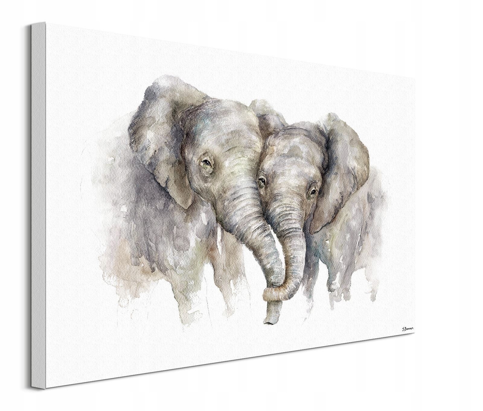 

Obraz płótno Jane Bannon Zakochane Słonie 80x60 cm