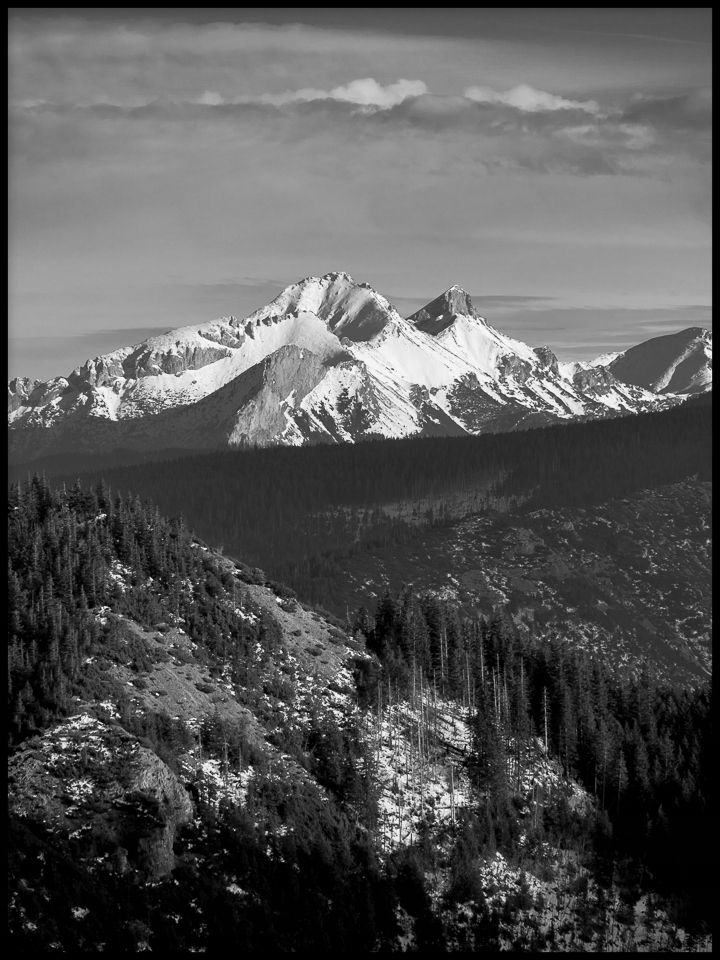 Tatry plakát fotografie 70x100 cm zakopané stromy les panorama krajina hory