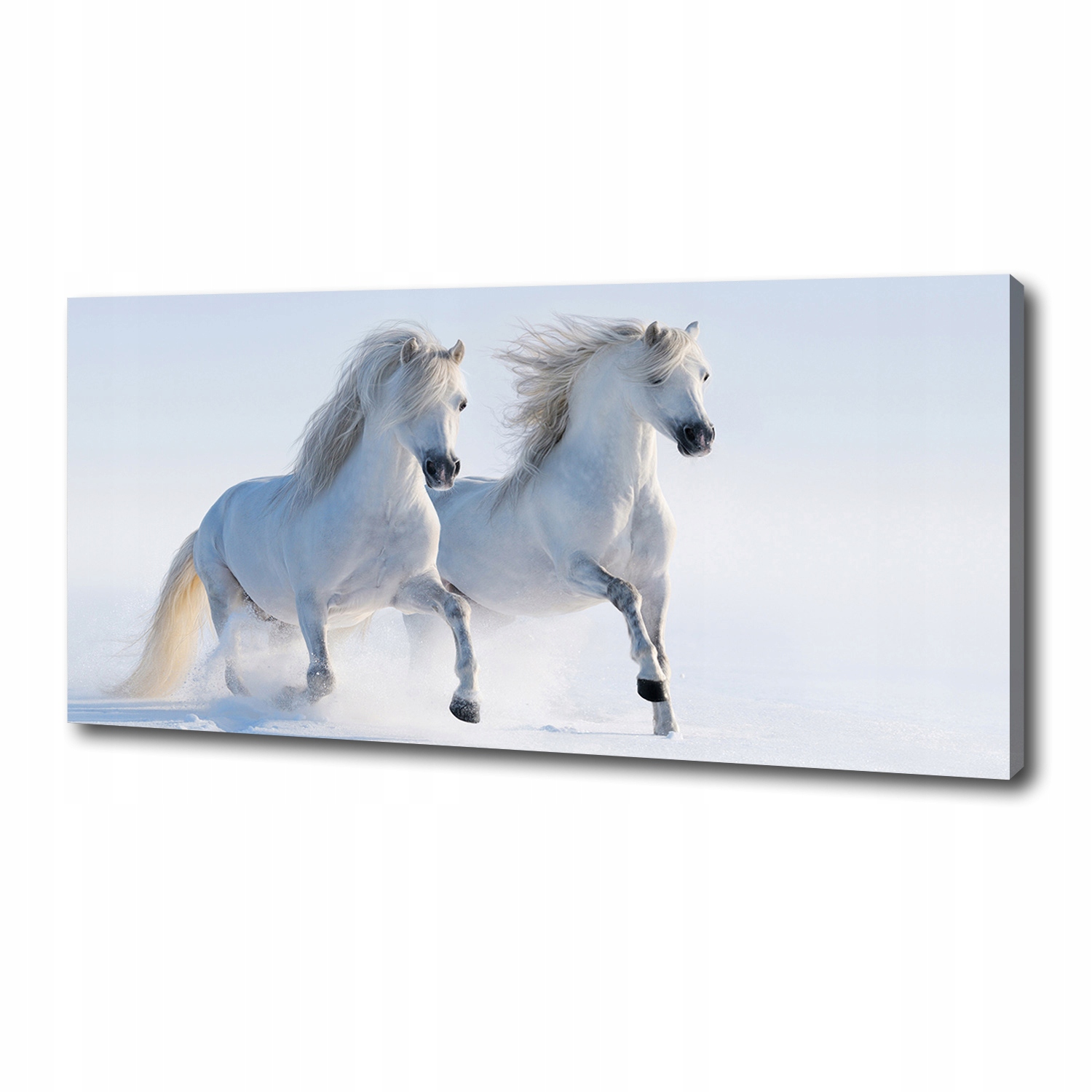 

Foto obraz na płótnie Dwa konie w śniegu 125x50 cm