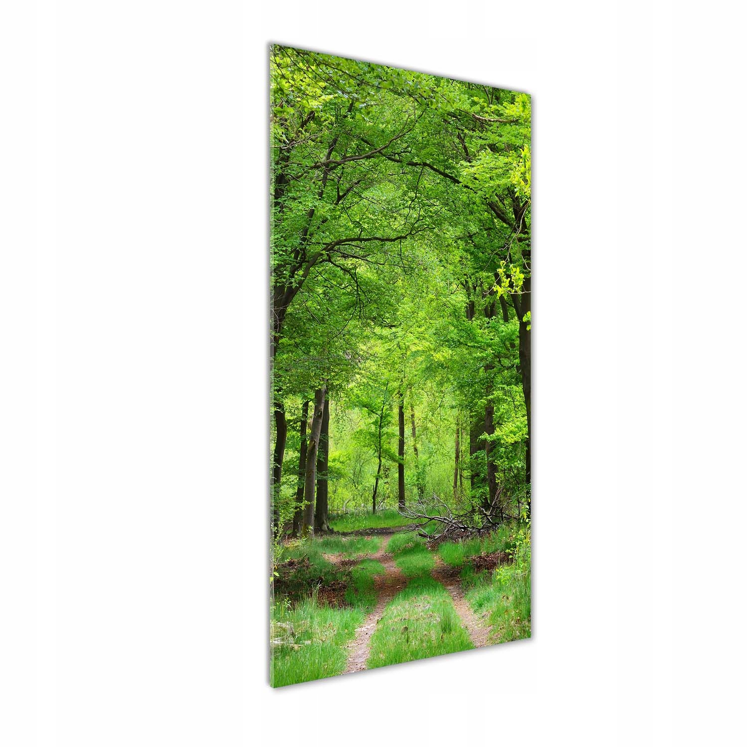 

Nowoczesny fotoobraz akrylowy Zielony las 50x125cm