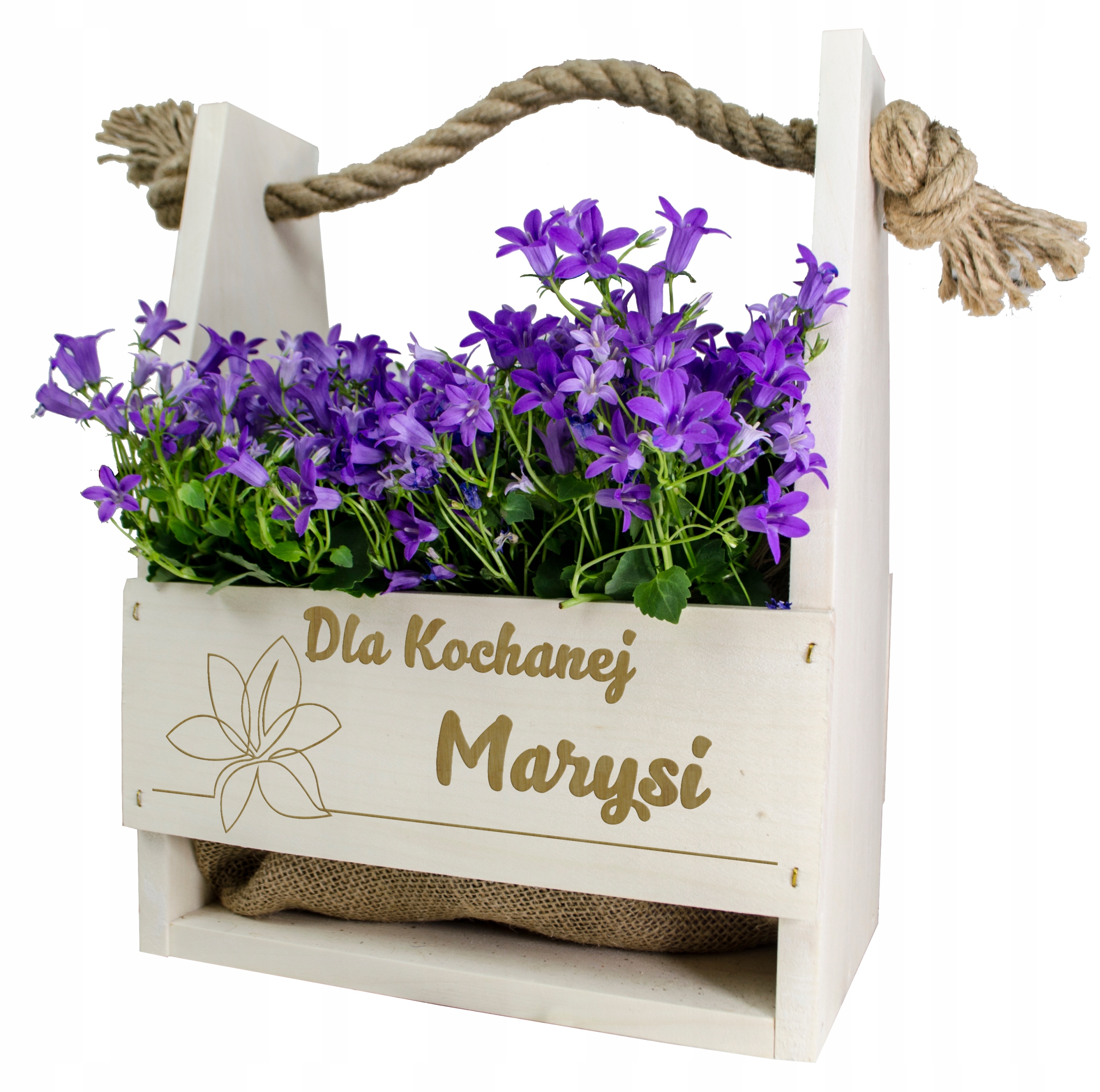 

Doniczka Skrzynka Na Kwiaty Dla Dziewczyny Prezent