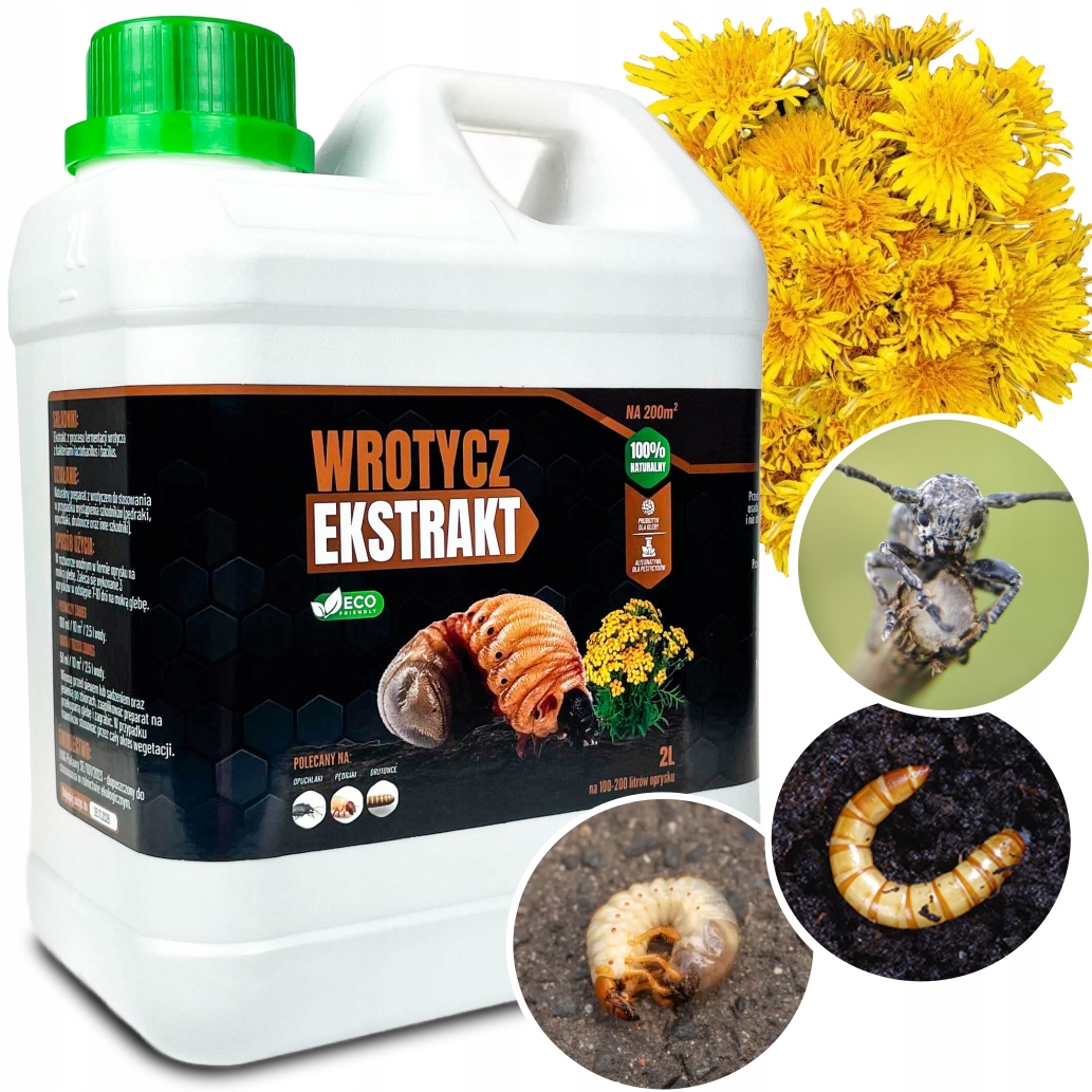 Wrotycz Ekstrakt Zwalcza Opuchlaki Pędraki Drutowce W Glebie 2L Na 200m2