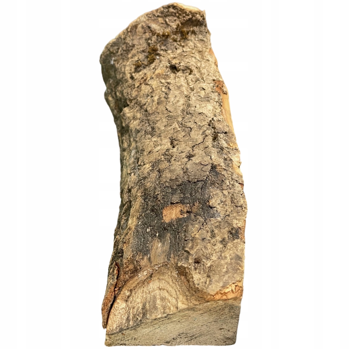 Drewno na ognisko grill opał kominka sezonowane JESION 1KG Marka bez marki