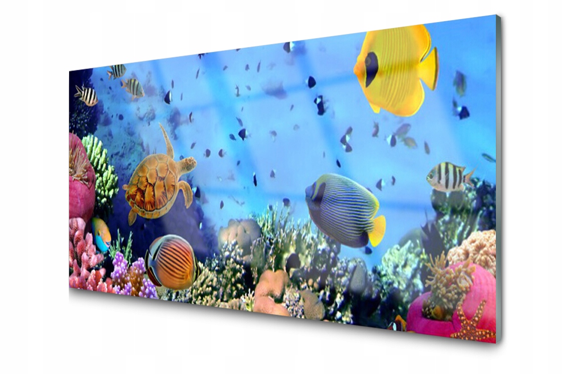 

Panel szklany dekor Rafa Koralowa Morze 100x50