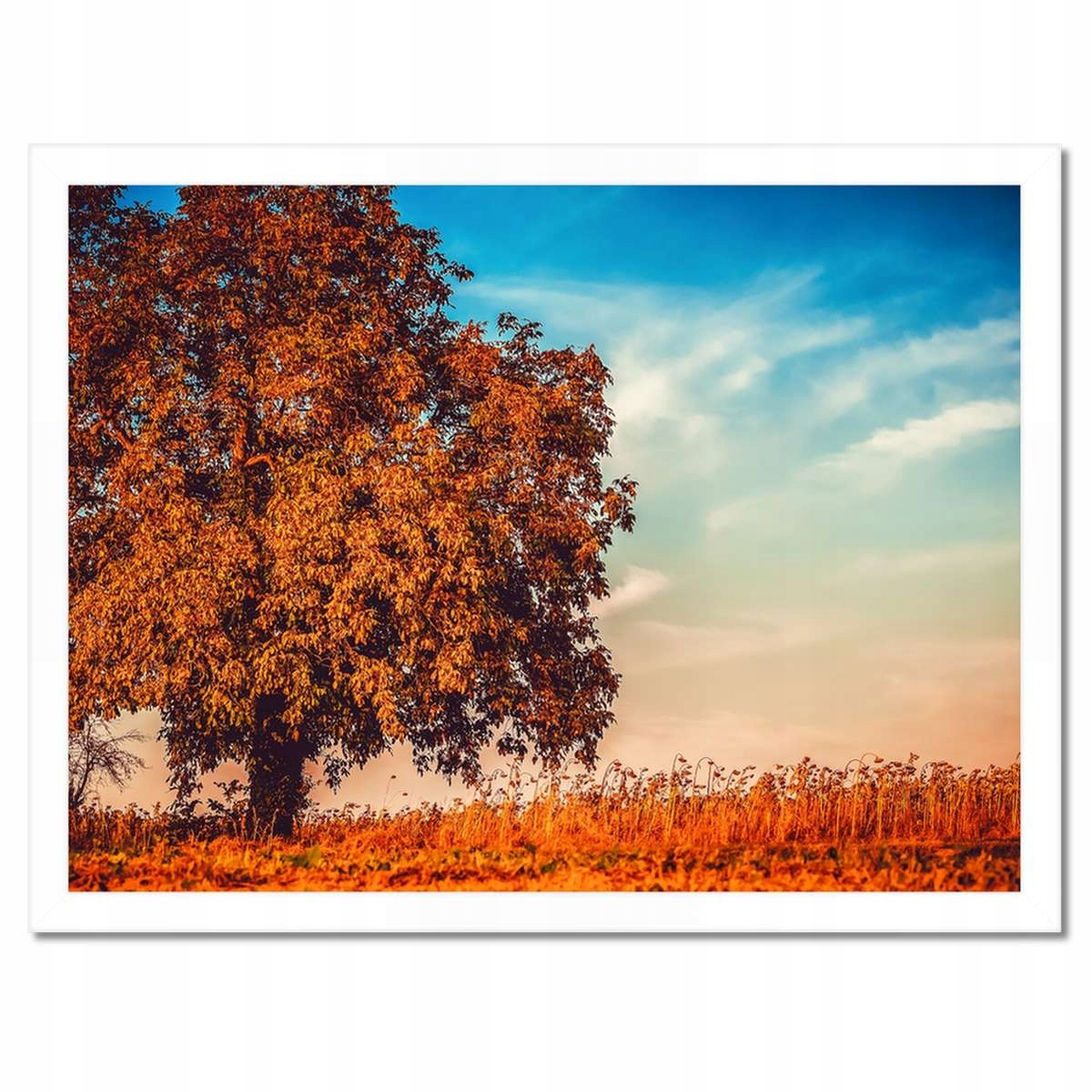 Plakáty v rámu 40x30 Podzimní barvy Krajina