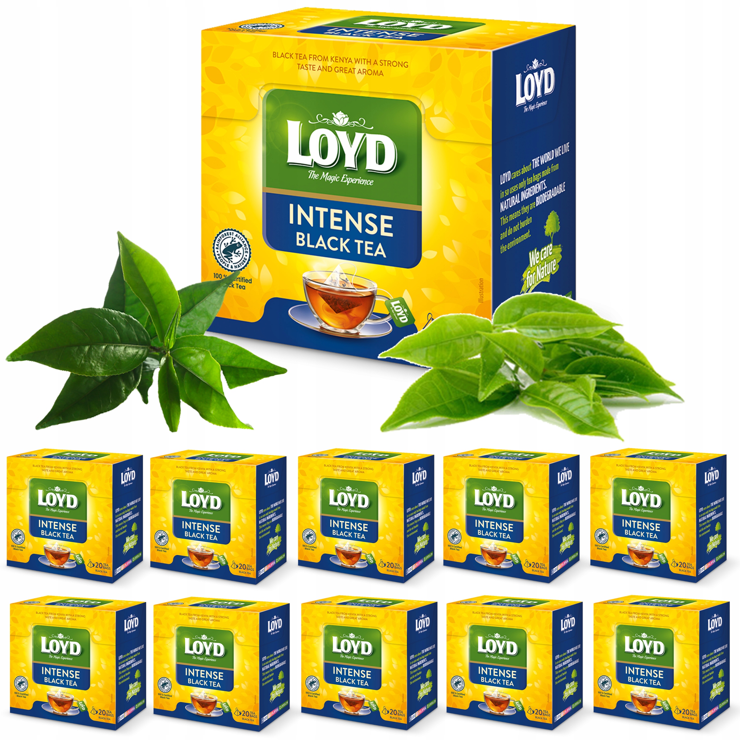 Klasyczna Intensywna Czarna Herbata Ekspresowa 100% Black Tea 20T Loyd