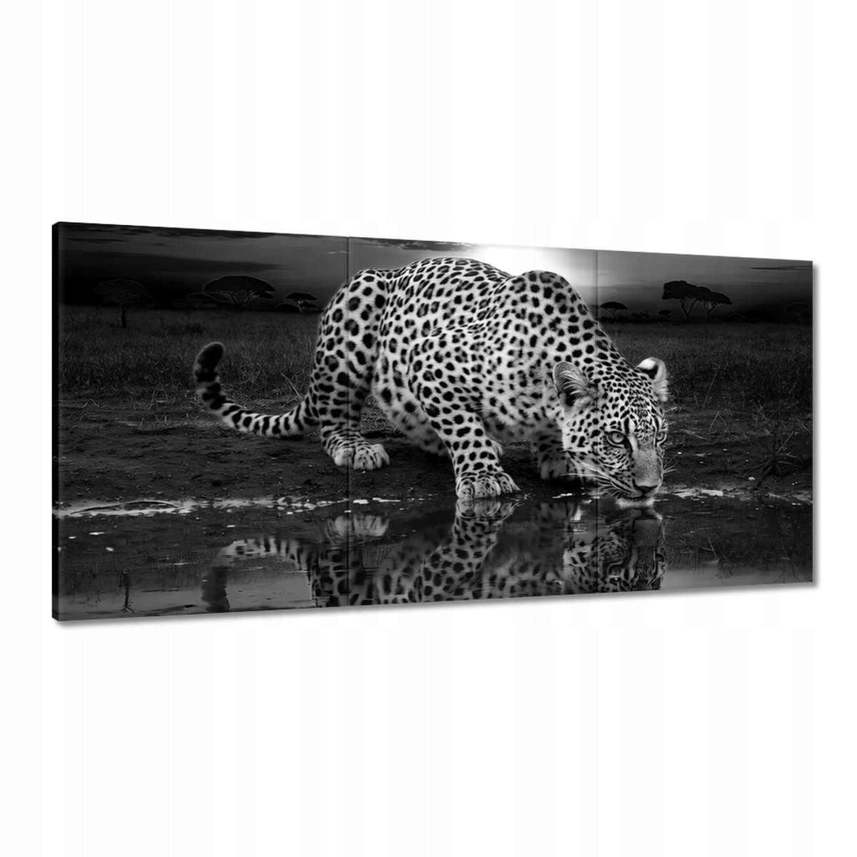 Obrazy 180x90 Na Zeď Gepard Tygr Obývací Pokoj