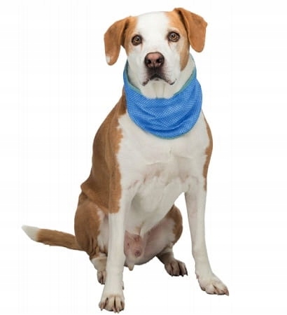 

Trixie Bandamka Chłodząca Dla Psa Rozmiar XL