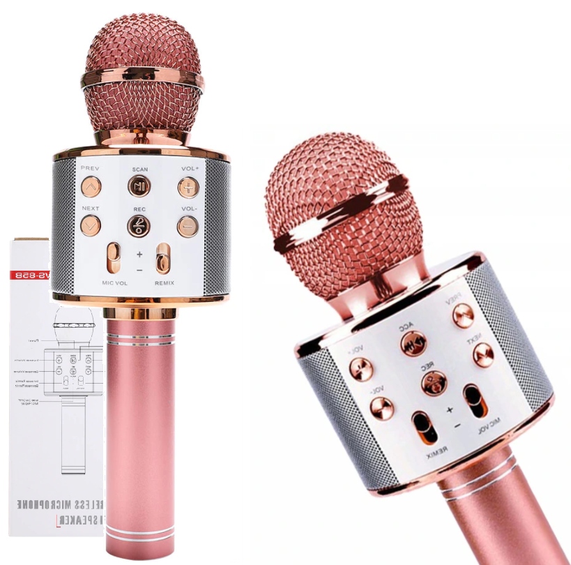 MIKROFON DLA DZIECI BEZPRZEWODOWY KARAOKE BLUETOOTH GŁOŚNIK NA PREZENT Marka BIG