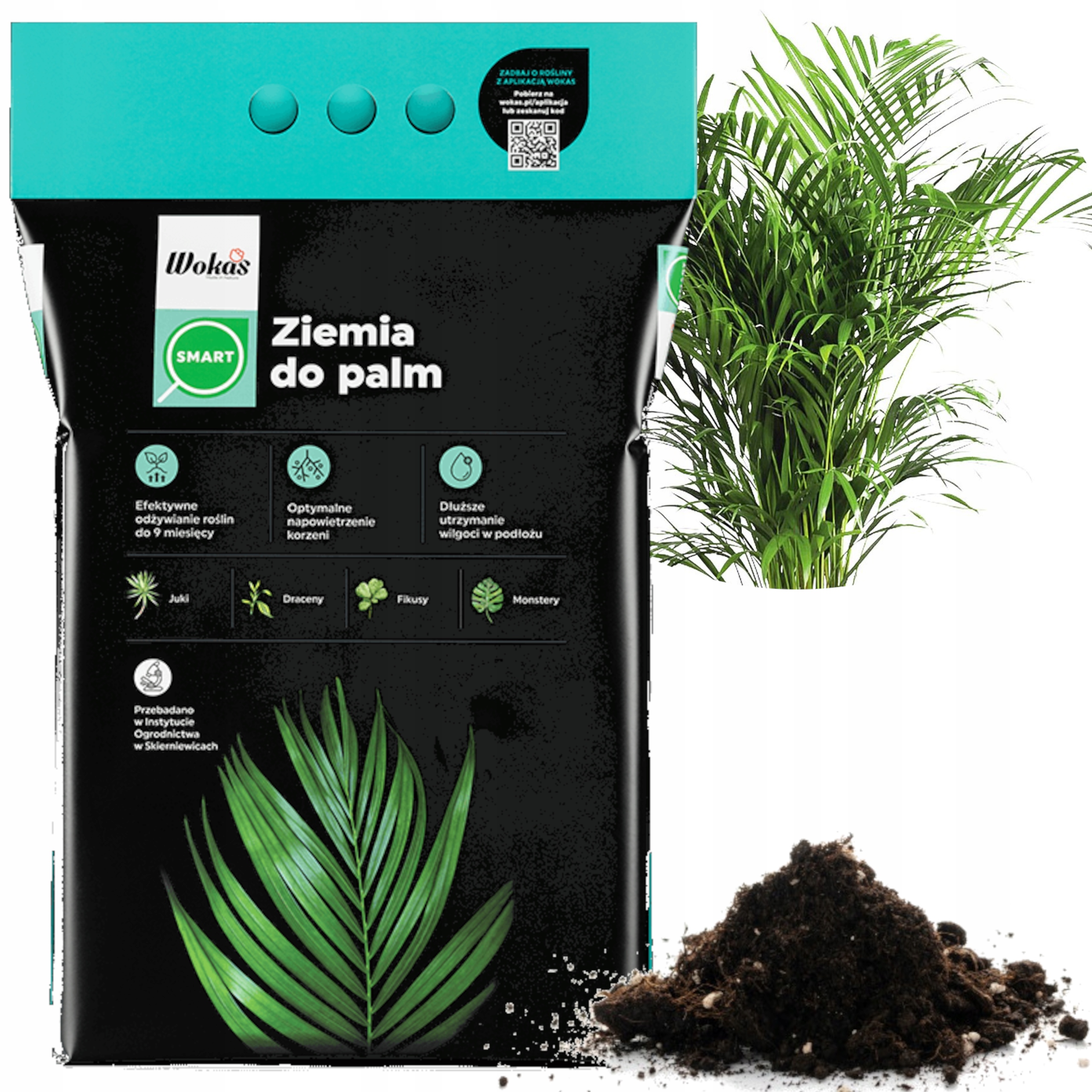 

Wokas Ziemia Podłoże Do Juk Palm Dracen 10l