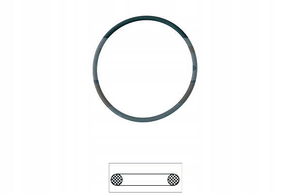 USZCZELKA TERMOSTATU EPS Numer katalogowy części 1.890.550