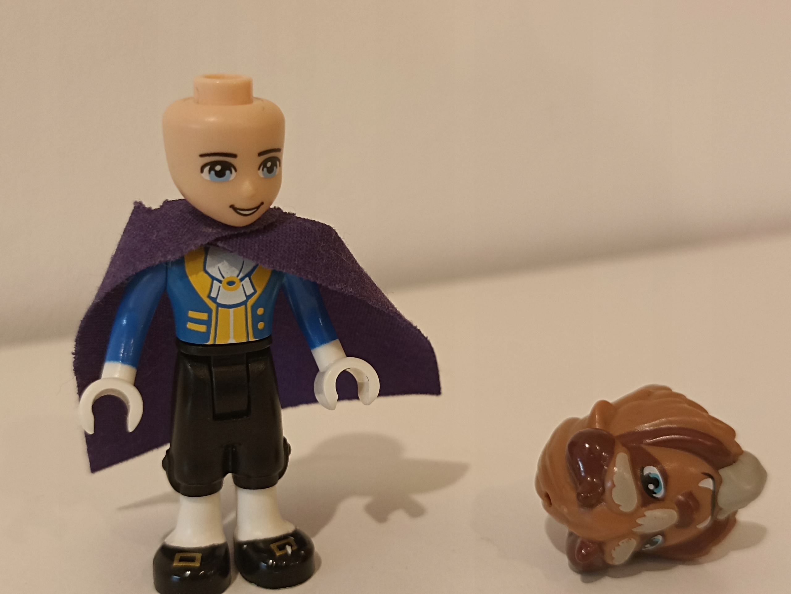 LEGO Disney Princess dp025 Beast / Prince Adam Płeć chłopcy dziewczynki